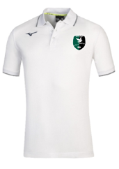 polo varallo
