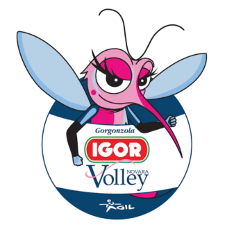 IGOR VOLLEY